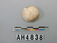 藏品(螺蓋)的圖片